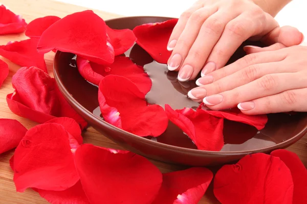 Handen met Frans manicure ontspannen in kom met water met rozenblaadjes — Stockfoto