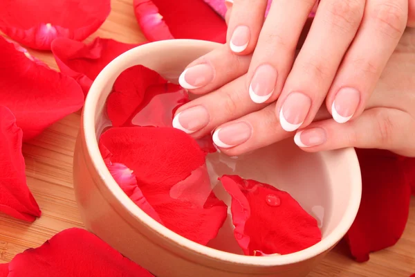 Mãos com manicure francês relaxante em tigela de água com pétalas de rosa — Fotografia de Stock