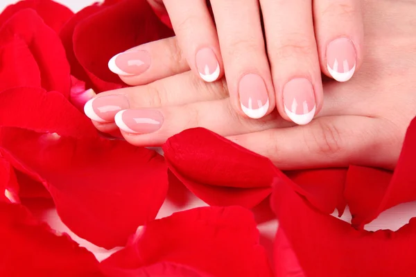 Beaitiful woman hands with manicure on the rose petals — Stok fotoğraf
