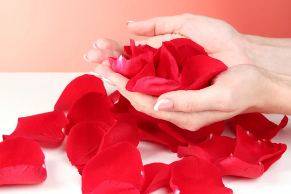 Par de mãos de mulher segurando pétalas de rosa vermelha no fundo vermelho — Fotografia de Stock