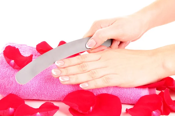 Hand holding an emery board on rose petals background — Stock Photo, Image