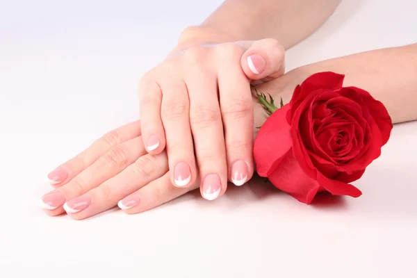 Γυναίκα χέρια με γαλλικό μανικιούρ που κατέχουν κόκκινο τριαντάφυλλο — Φωτογραφία Αρχείου