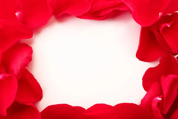 Růží jako snímek na bílém pozadí — Stock fotografie
