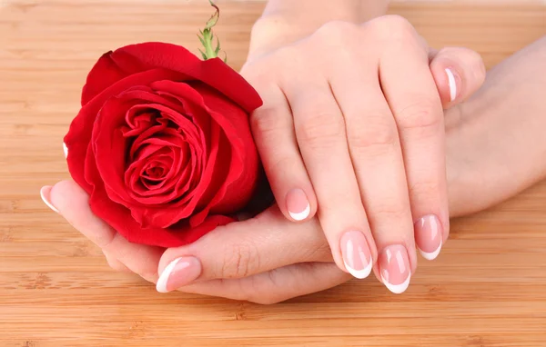 Frauenhände mit französischer Maniküre mit roter Rose — Stockfoto