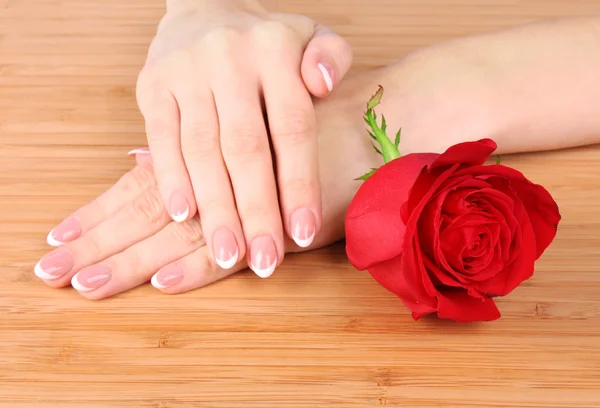女性の手とフランスのマニキュア赤のバラを保持 — ストック写真