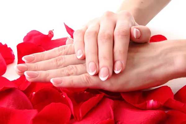 Beautiful woman hands with french manicure and rose petals on pi — Stock Photo, Image