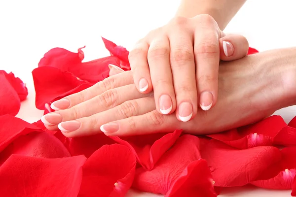 Beaiful Frauenhände mit Maniküre auf den Rosenblättern — Stockfoto