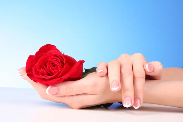 Casal de mãos de mulher com rosa vermelha — Fotografia de Stock