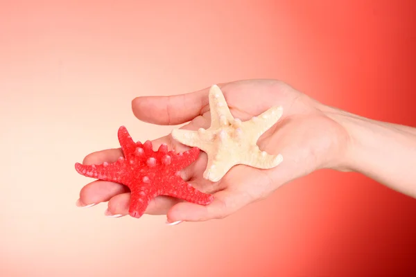 여 자가 손 들고 2 starfishes — 스톡 사진