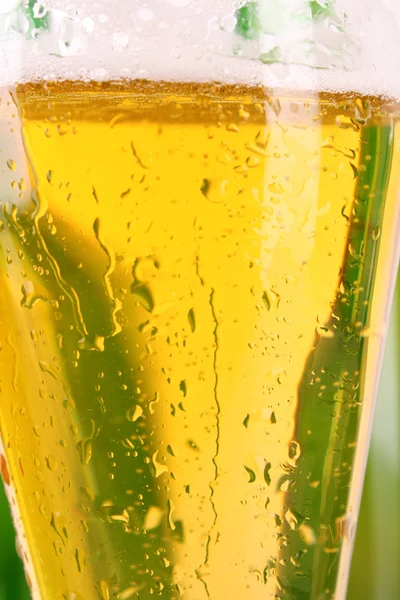 一杯のビールのクローズ アップ — ストック写真
