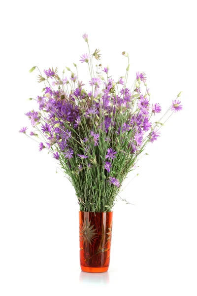 Sušená kytice v červená váza na bílém pozadí — Stock fotografie