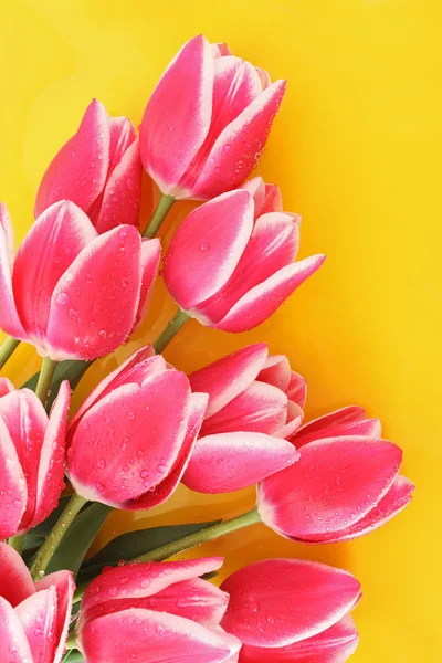 Buquê de tulipas e como fundo para cartão postal — Fotografia de Stock