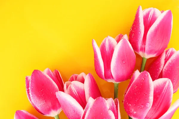Kytice z tulipánů a jako zázemí pro pohlednice — Stock fotografie