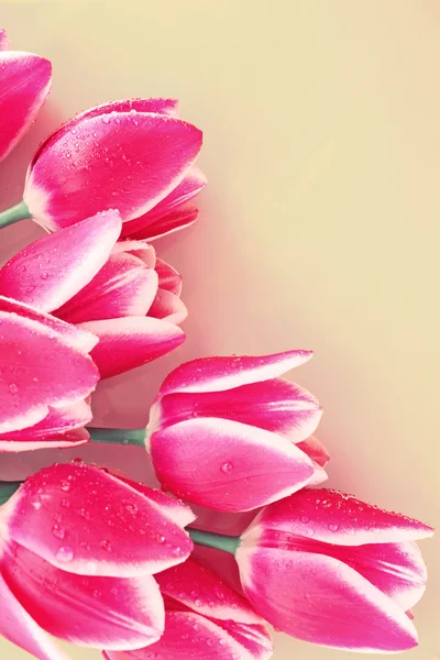 Bouquet di tulipani e come sfondo per cartolina — Foto Stock