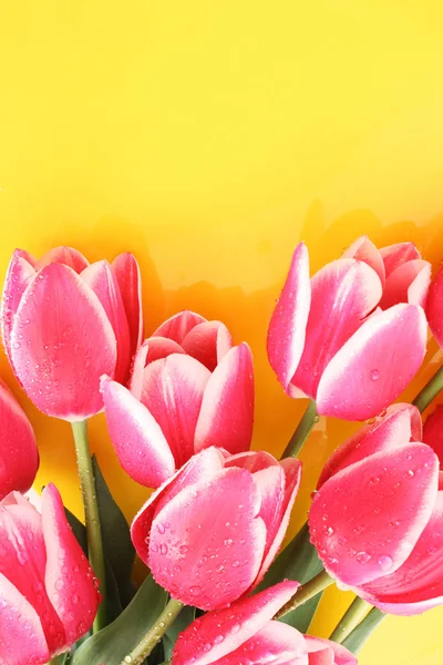 Bouquet de tulipes et comme fond pour carte postale — Photo