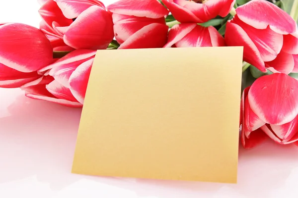 Strauß Tulpen und Postkarte auf weißem Grund — Stockfoto