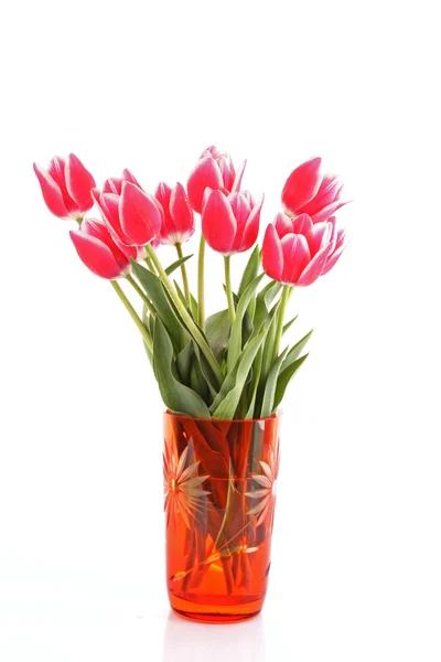 Beautiful pink tulips in vase isolated on white — Stock Photo, Image