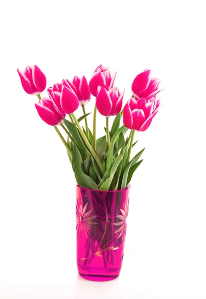 Lindas tulipas rosa em vaso isolado em branco — Fotografia de Stock