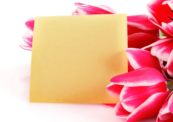 Ramo de tulipanes y tarjeta postal en blanco — Foto de Stock