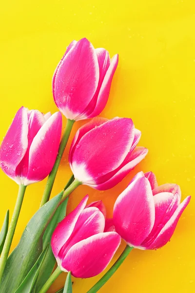 Bouquet de tulipes et comme fond pour carte postale — Photo