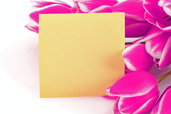 Bukiet tulipanów i kartka pocztowa na białym — Zdjęcie stockowe
