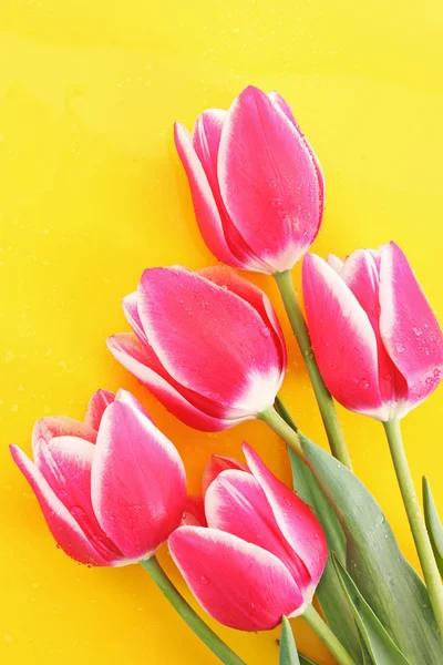 ポスト カードの背景として、チューリップの花束 — ストック写真