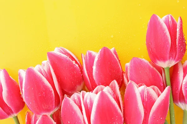 Boeket van tulpen en als achtergrond voor Postkaart — Stockfoto