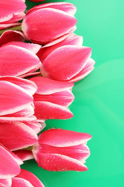 Boeket van tulpen en als achtergrond voor Postkaart — Stockfoto