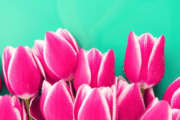 Ramo de tulipanes y como fondo para postal — Foto de Stock