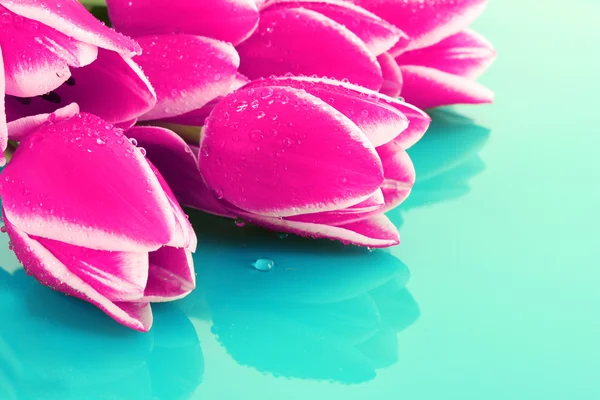 Strauß Tulpen und als Hintergrund für Postkarten — Stockfoto