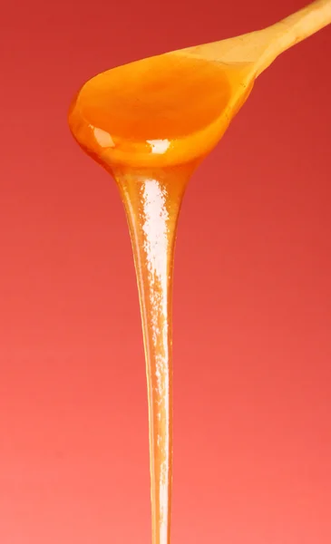 Puinen lusikka hunajalla — kuvapankkivalokuva