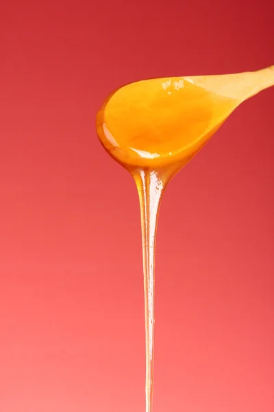 Treskje med honning – stockfoto