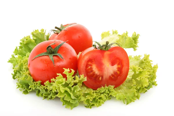Czerwony pomidor warzywa na tle zieloną sałatą — Zdjęcie stockowe