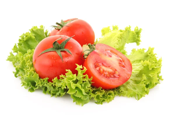Red tomato vegetables on the green salad background — Stock Photo, Image