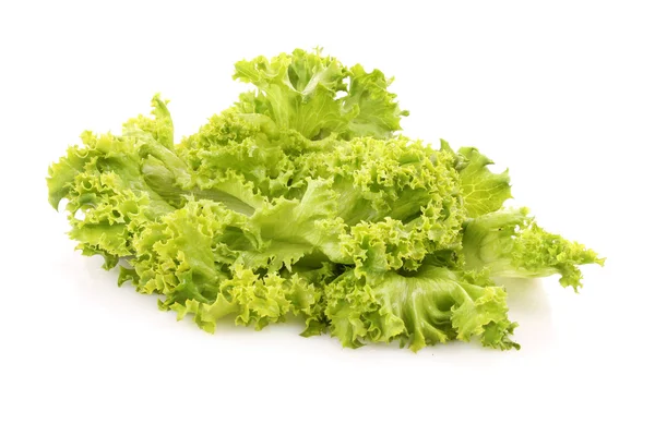 Salada de alface verde isolada sobre fundo branco — Fotografia de Stock