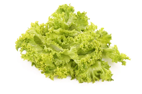 Green lettuce salad isolated on white background — Stock Photo, Image