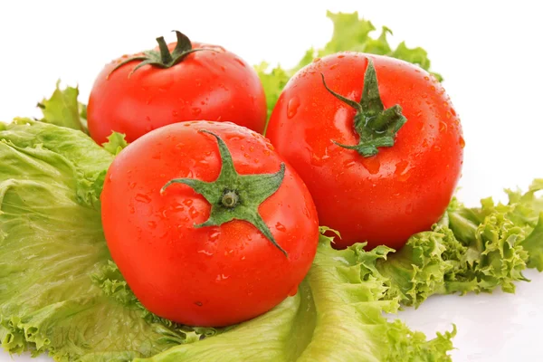 Rode tomaten groenten op de achtergrond van de groene salade — Stockfoto