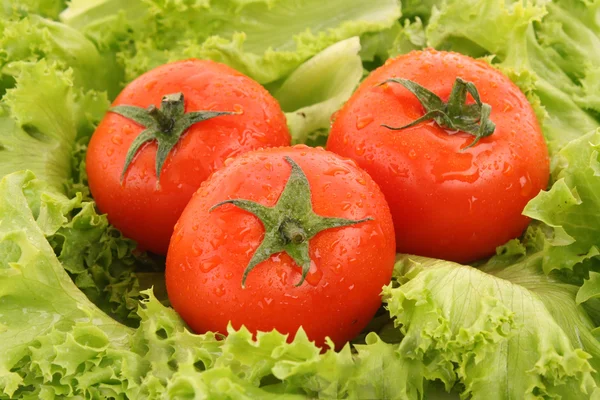 Λαχανικά ντομάτα κόκκινο στο παρασκήνιο πράσινη σαλάτα — Φωτογραφία Αρχείου