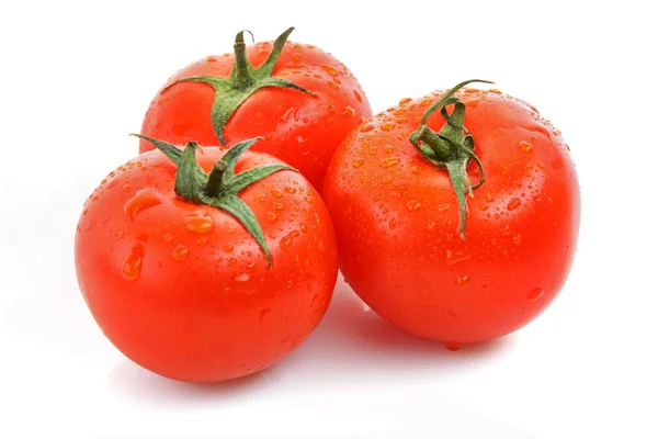 Червоні помідори ізольовані на білому тлі — стокове фото