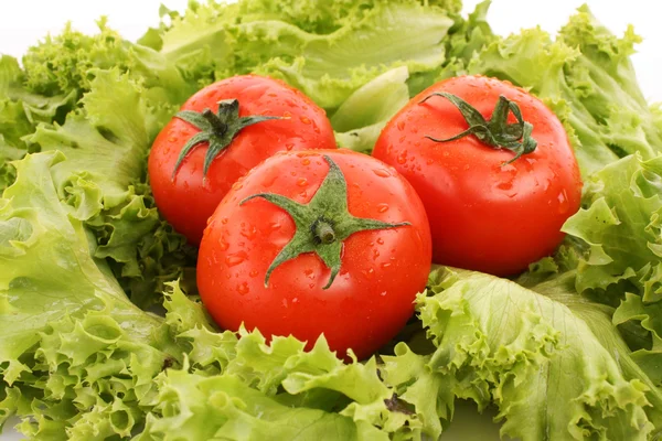 Rode tomaten groenten op de achtergrond van de groene salade — Stockfoto