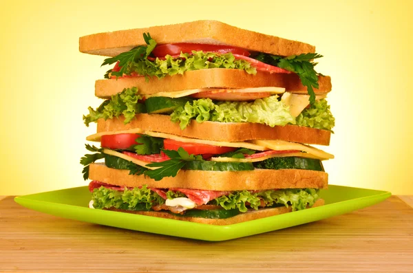 Kocaman bir sandviç. — Stok fotoğraf