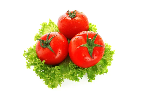 Rode tomaten groenten geïsoleerd op witte achtergrond — Stockfoto