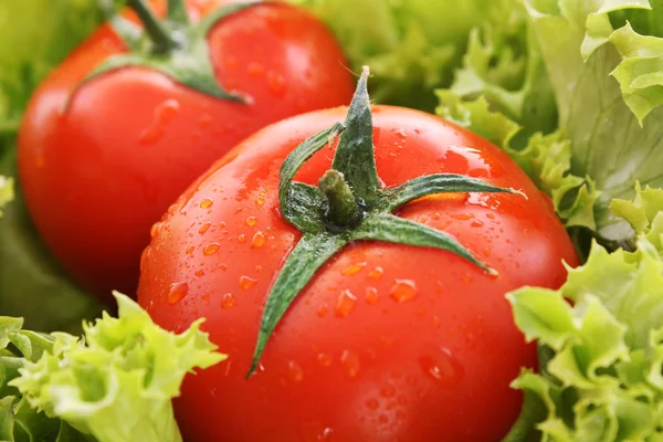 グリーン サラダの背景に赤のトマト野菜 — ストック写真