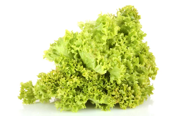 Friss saláta izolált fehér alapon — Stock Fotó