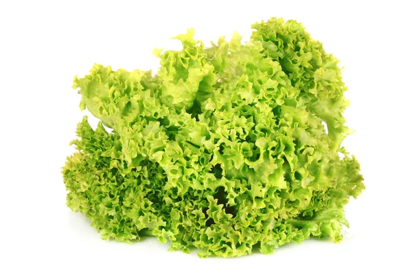 Friss saláta izolált fehér alapon — Stock Fotó