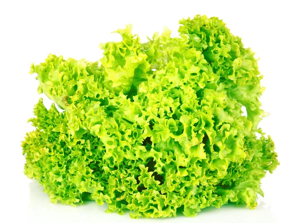 Fresh lettuce isolated on white background — Stock Photo, Image