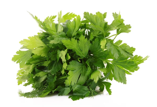 Bouquet of parsley isolated on white — Stock Photo, Image