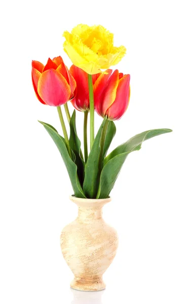 Růžové tulipány na bílém pozadí — Stock fotografie