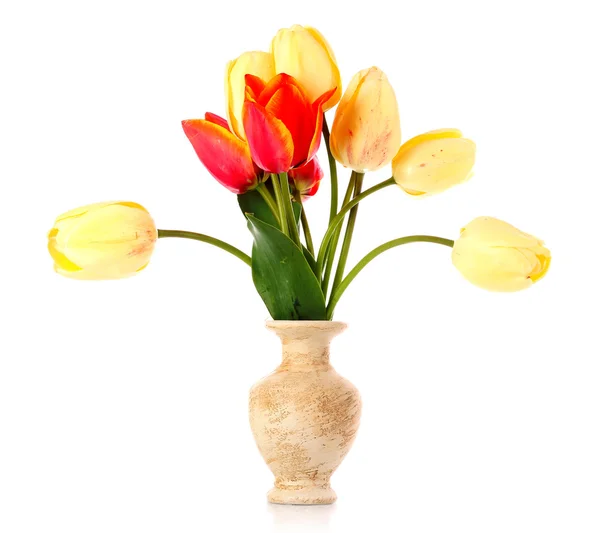 玻璃花瓶中的孤立的郁金香 — 图库照片