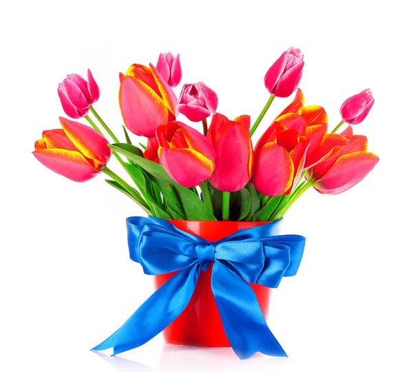 Pink tulips on white background — Stock Photo, Image
